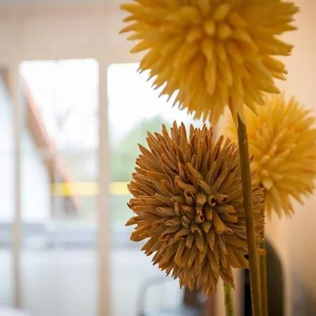 Apartamento Haus Am Schloonsee App B7